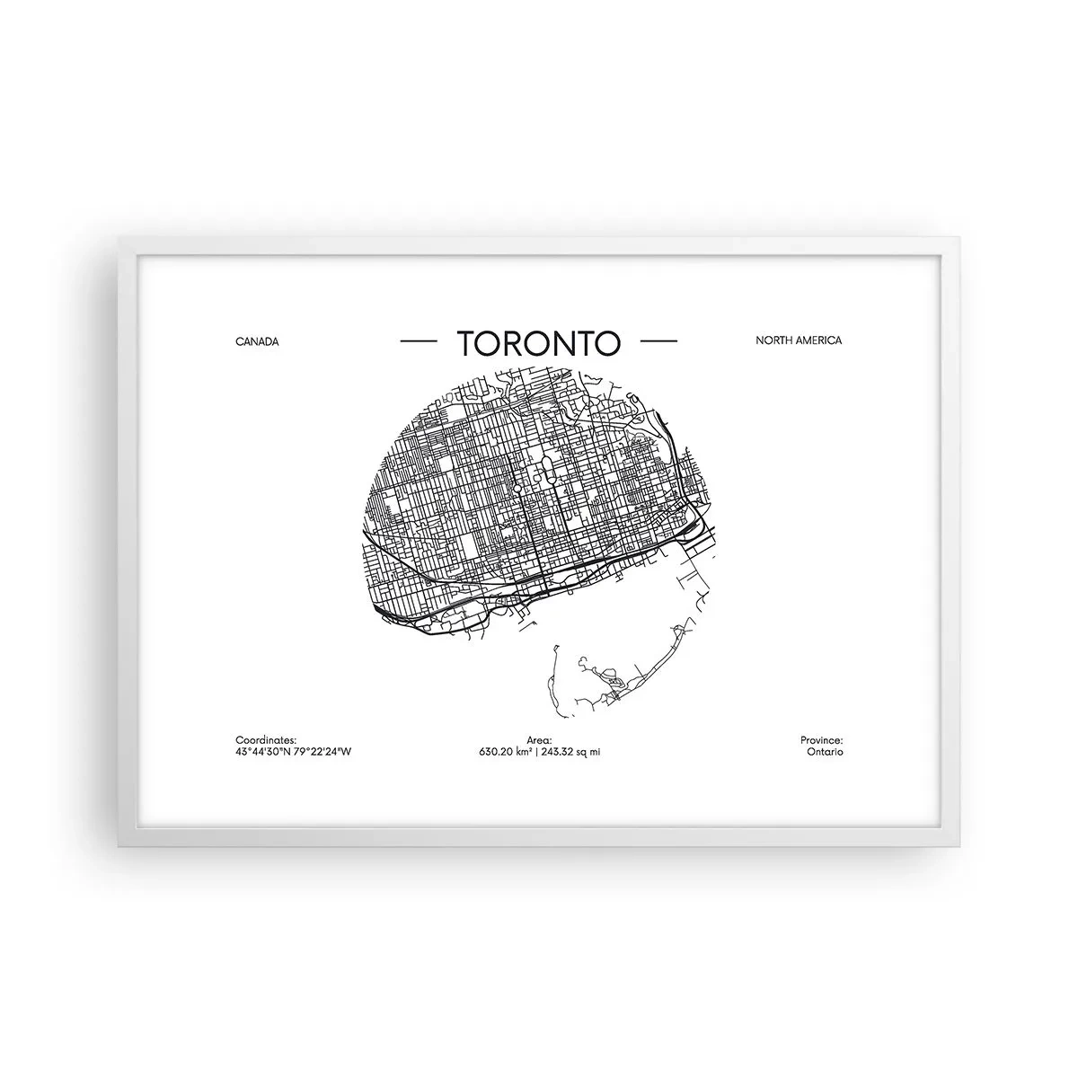 Plakát v bílém rámu - Anatomie Toronta - 70x50 cm