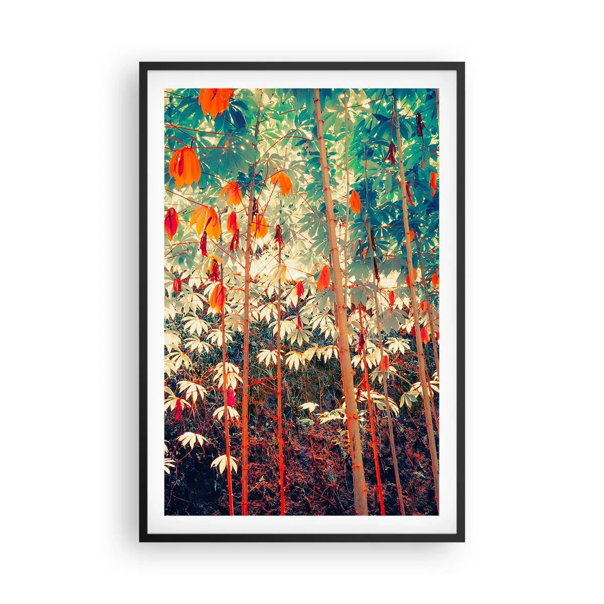 Plakát v černém rámu - Tajný život listů - 61x91 cm