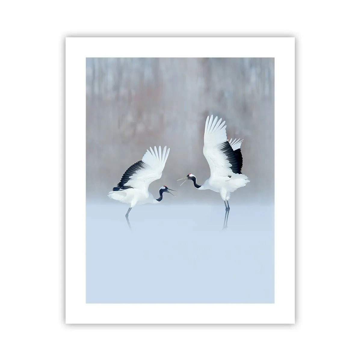 Plakát - Tanec v mlze - 40x50 cm