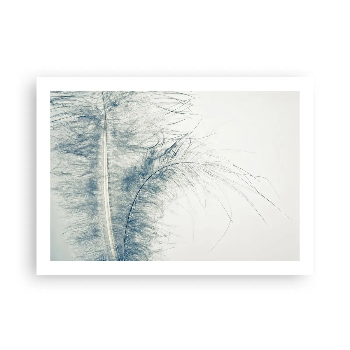 Plakát - Šepot přírody - 70x50 cm