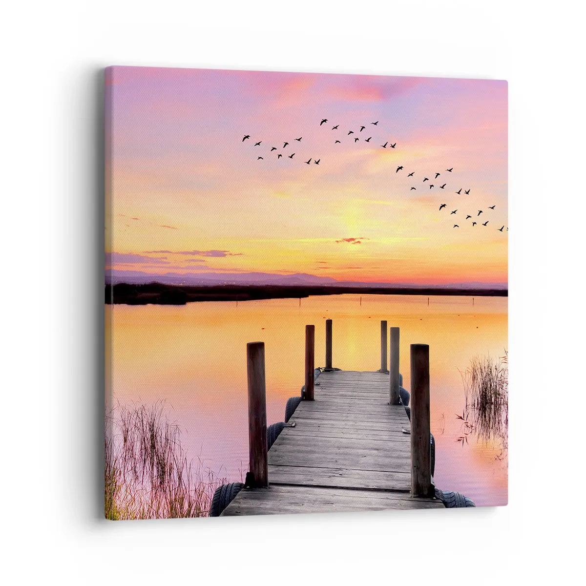 Obraz na plátně - Fialové tiché svítání - 40x40 cm