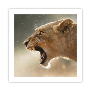 Plakát - Snaž se neposlouchat - 50x50 cm