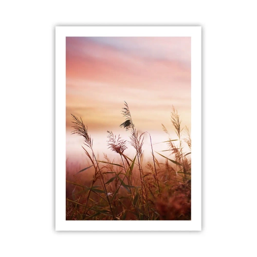 Plakát - Draci, pampelišky a vítr - 50x70 cm