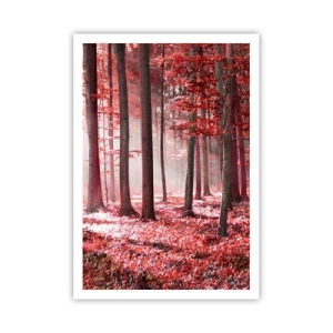 Plakát - Červená je stejně krásná - 70x100 cm