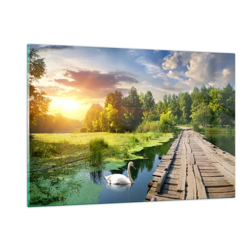 Obraz na skle - Léto, léto všude - 120x80 cm