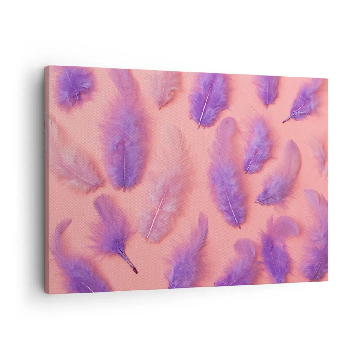 Obraz na plátně - Fialové a růžové peří na pastelovém pozadí - 70x50cm - Liliový pták touhy - Moderní nástěnná dekorace do obývacího pokoje a ložnice ARTTOR