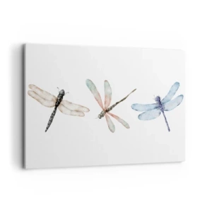 Obraz na plátně - Beztížné vážky - 100x70 cm