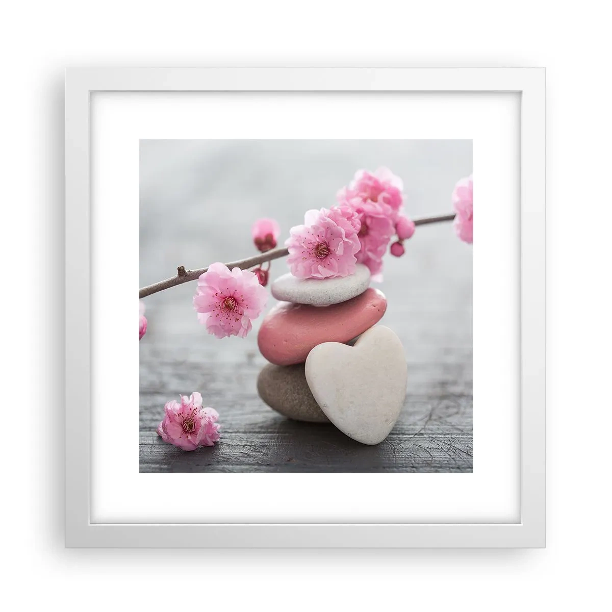 Plakát v bílém rámu - Blaženost s višňovým květem - 30x30 cm