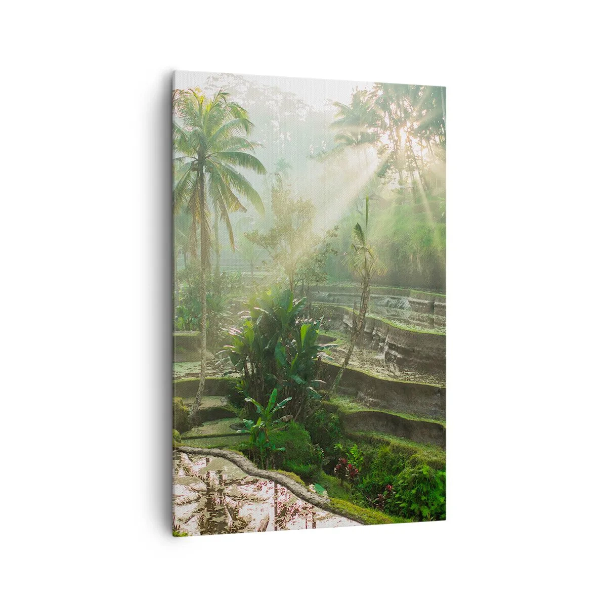 Obraz na plátně - Vyrůstát na slunci - 80x120 cm