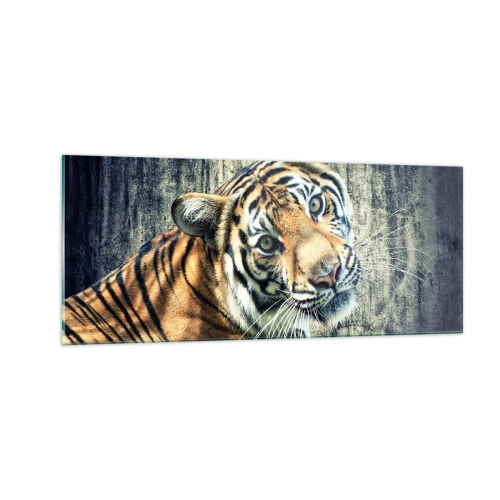 Obraz na skle - Portrét v pramenech světla - 100x40 cm