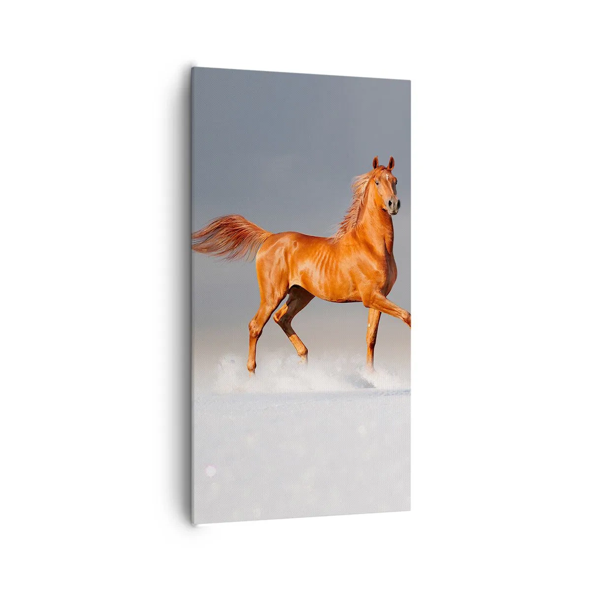 Obraz na plátně - Tančící elegance - 65x120 cm