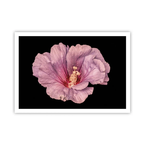 Plakát - Přímo do srdce - 100x70 cm