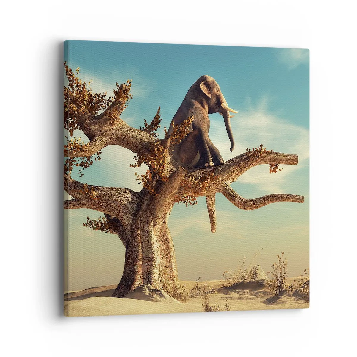 Obraz na plátně - Nový úhel pohledu - 40x40 cm