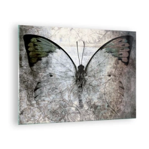 Obraz na skle - Abstraktní motýl na pozadí staré ozdoby - 70x50cm - V secesním stylu - Moderní nástěnná dekorace do obývacího pokoje a ložnice ARTTOR