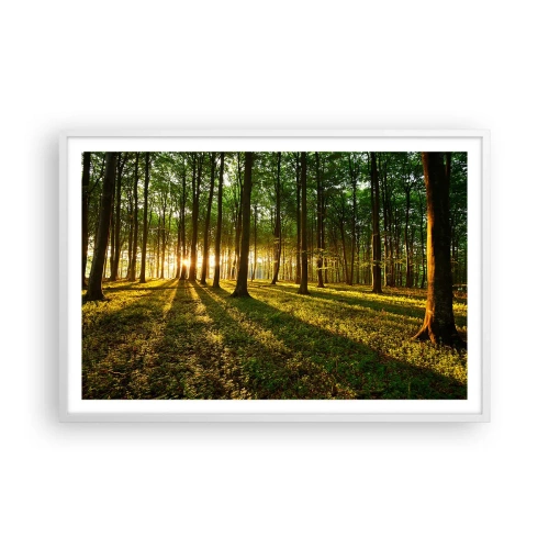 Plakát v bílém rámu - Fotografie všech jar - 91x61 cm