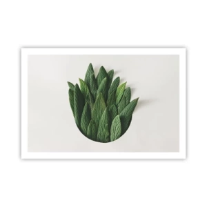 Plakát - Neukojitelná zvědavost - 91x61 cm