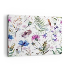 Obraz na plátně - Polský herbář - 120x80 cm