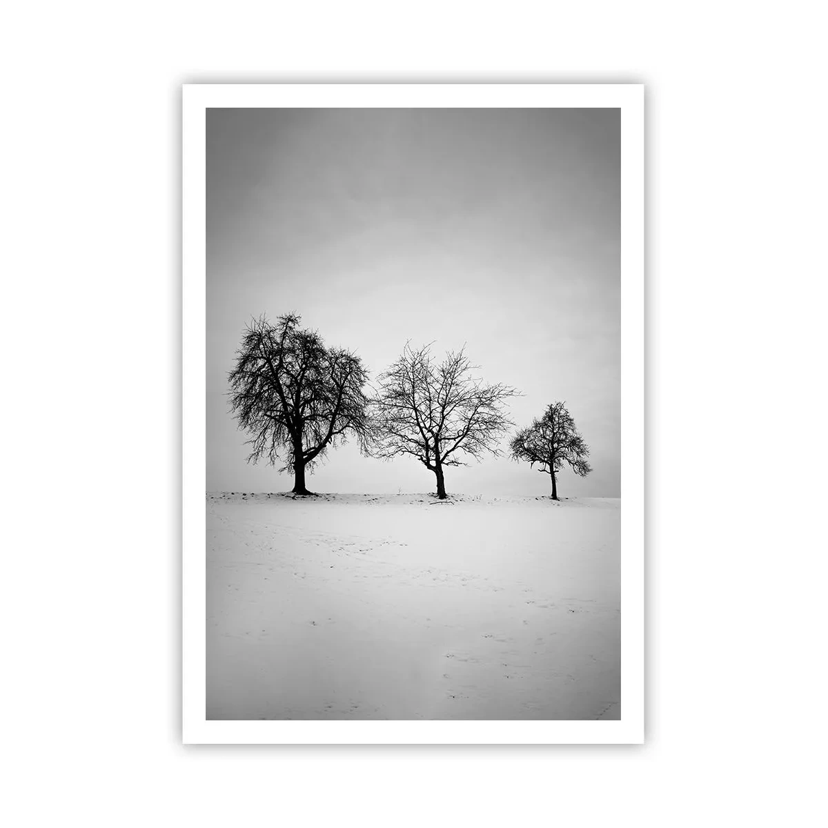 Plakát - O čem sní? - 70x100 cm