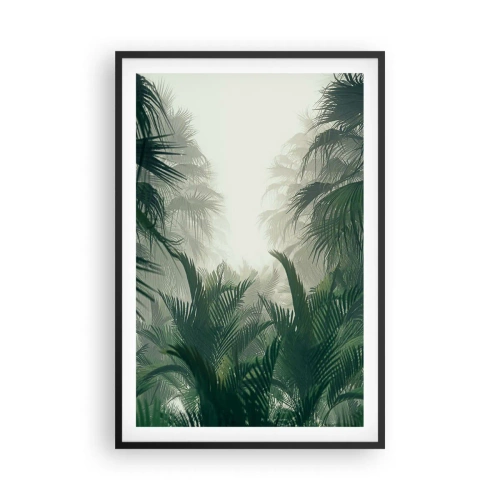 Plakát v černém rámu - Tropická záhada - 61x91 cm