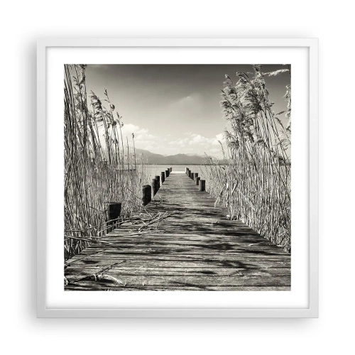 Plakát v bílém rámu - V ústraní travin - 50x50 cm