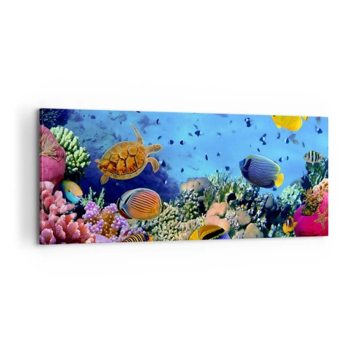 Obraz na plátně - Co víme o životě… - 100x40 cm