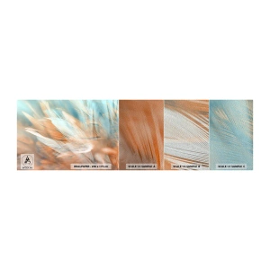 Vzor Fototapety Premium Sand - V krajině něhy - Jemné, Peří, Minimalismus - 100x30 cm