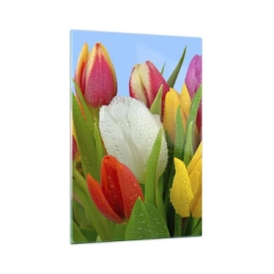 Obraz na skle - Květinová duha v kapkách rosy - 70x100 cm
