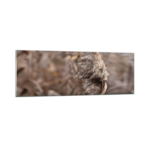 Obraz na skle - Čas odletět s větrem - 90x30 cm