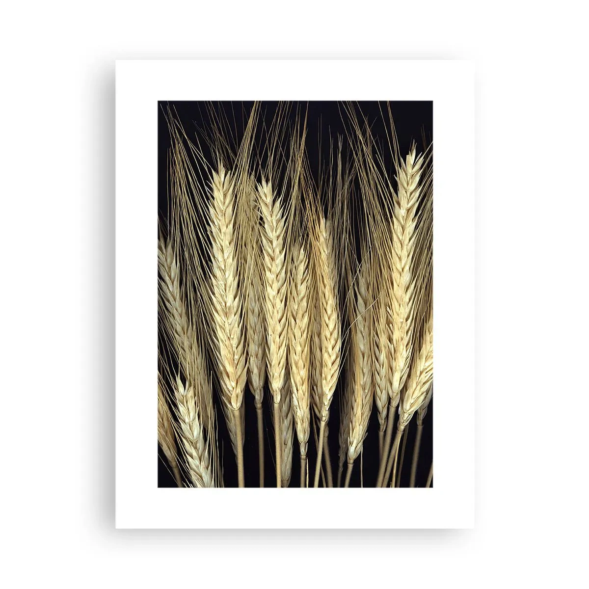 Plakát - Rustikální magie - 30x40 cm