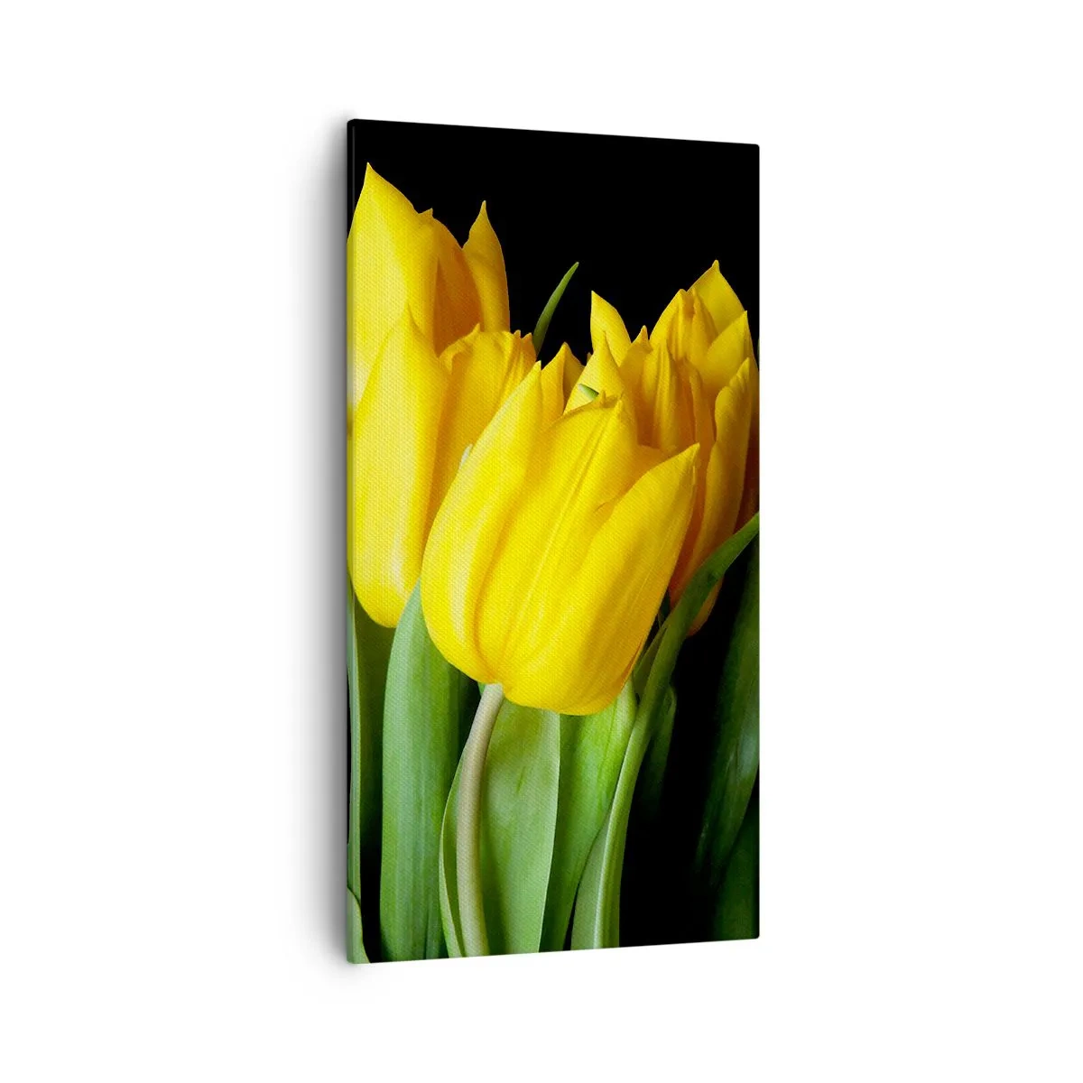 Obraz na plátně - Vznikly z čistého slunce - 55x100 cm