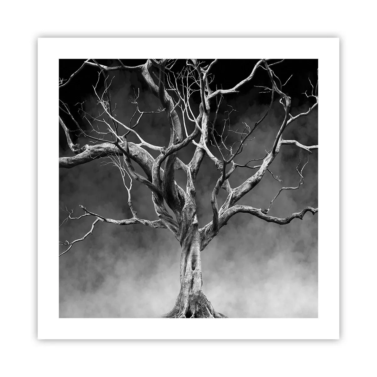 Plakát - Původní a svaté - 50x50 cm