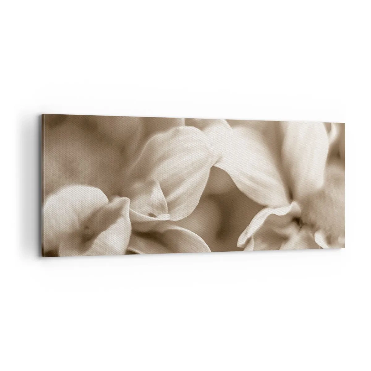 Obraz na plátně - Něžné jako úsměv - 100x40 cm