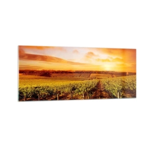 Obraz na skle - Jemně ovocné s tónem slunce - 100x40 cm