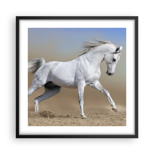 Plakát v černém rámu - Nejkrásnější arabská pohádka - 50x50 cm