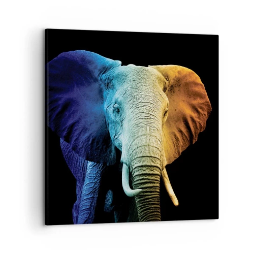 Obraz na plátně - Výstřední muž, ale ne podivín - 60x60 cm