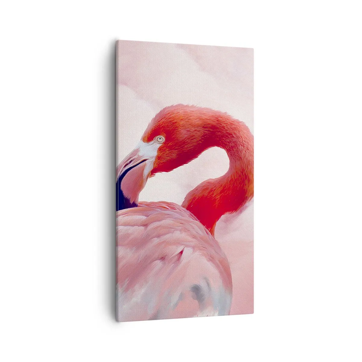 Obraz na plátně - Ptačí krása - 55x100 cm