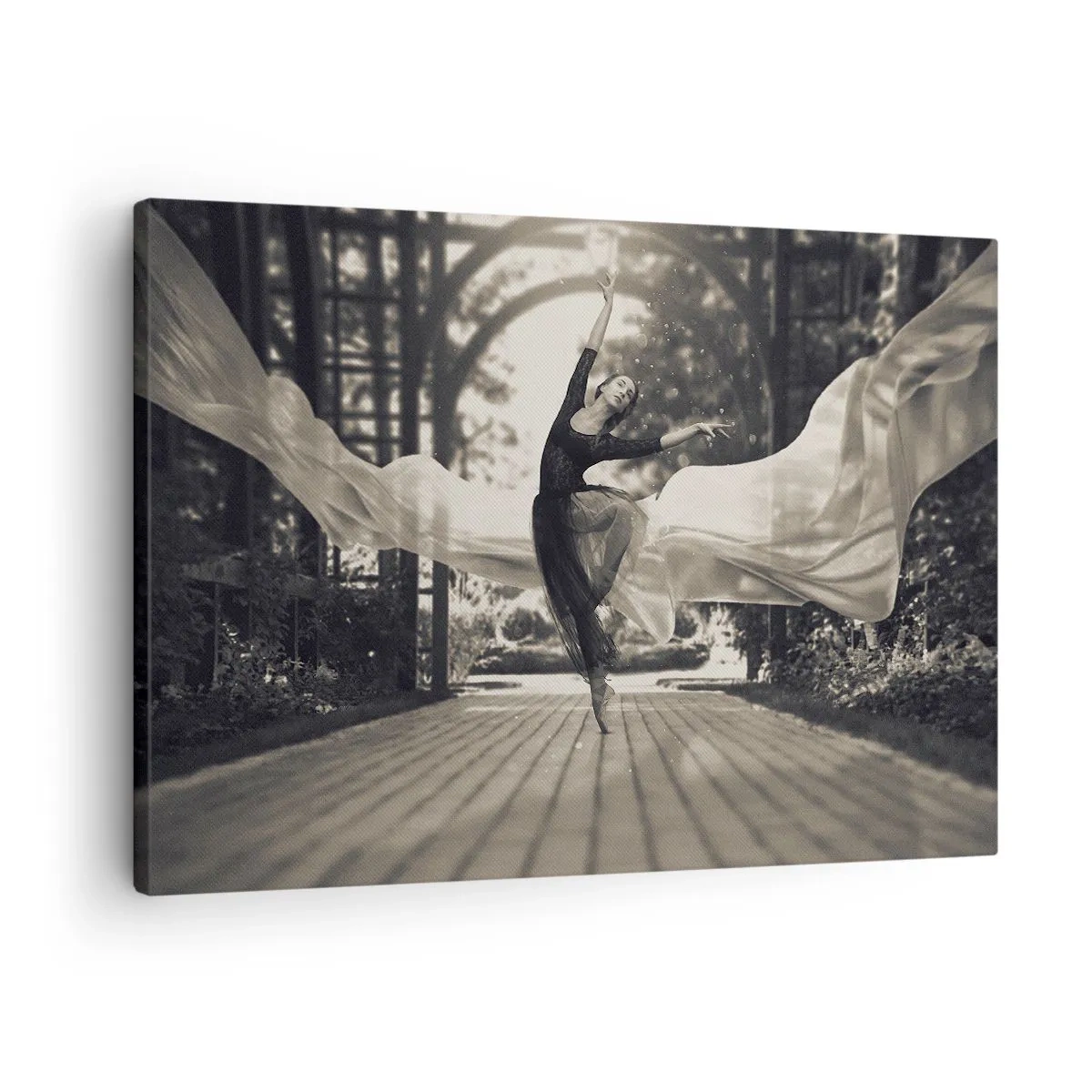 Obraz na plátně - Tanečnice v splývavých šatech provádí skok na černobílém pozadí zahrady. - 70x50cm - Tanec ducha zahrady - Moderní nástěnná dekorace do obývacího pokoje a ložnice ARTTOR