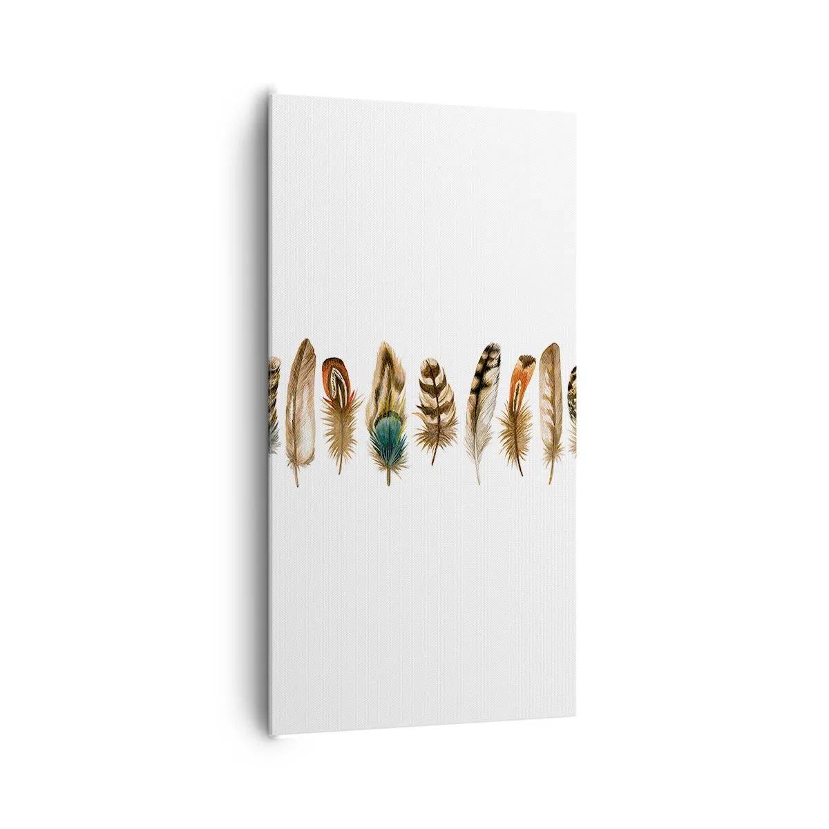 Obraz na plátně - Opeřená variace - 65x120 cm