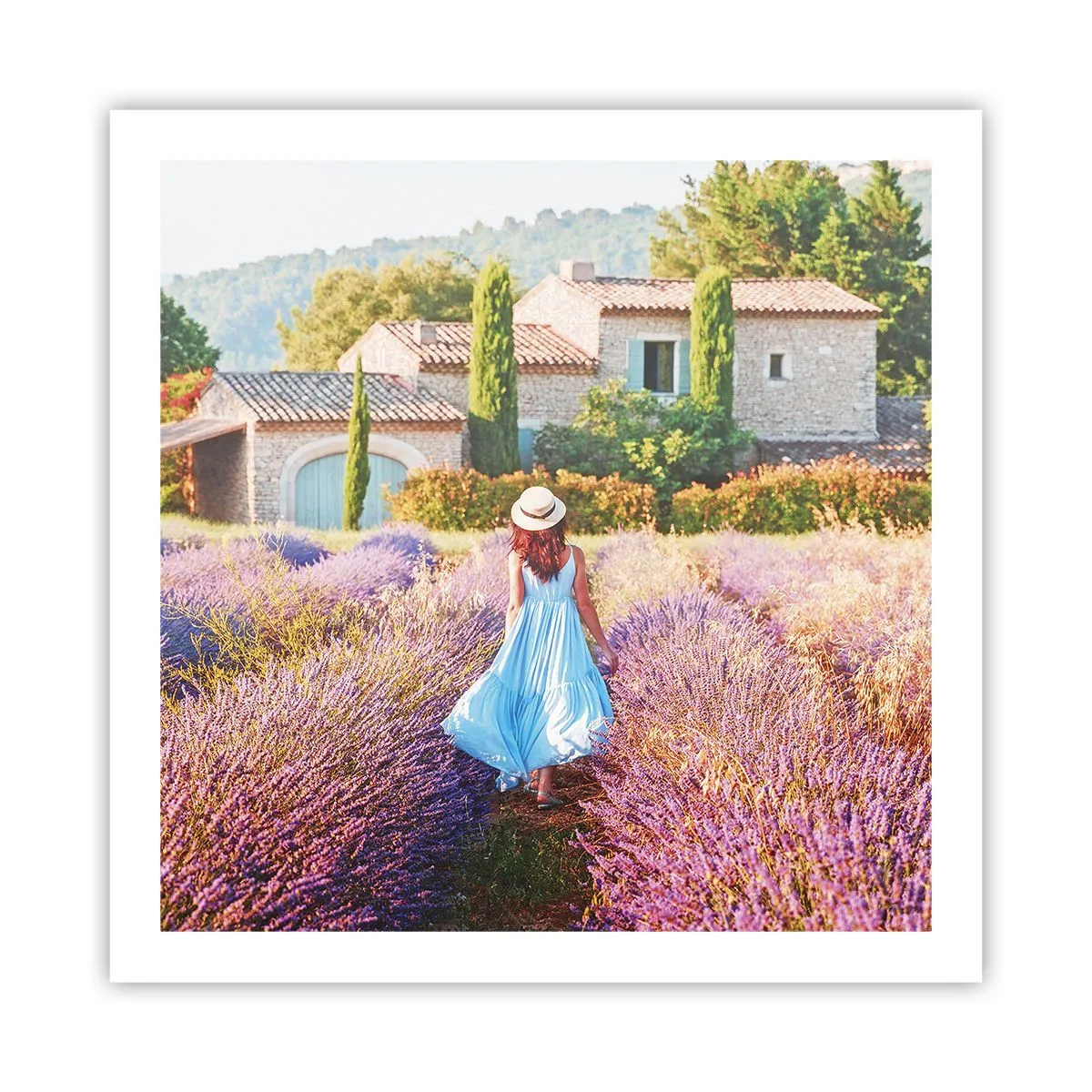 Plakát - Levandulová dívka - 60x60 cm