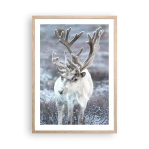 Plakát v rámu světlý dub - Sluneční portrét - 50x70 cm