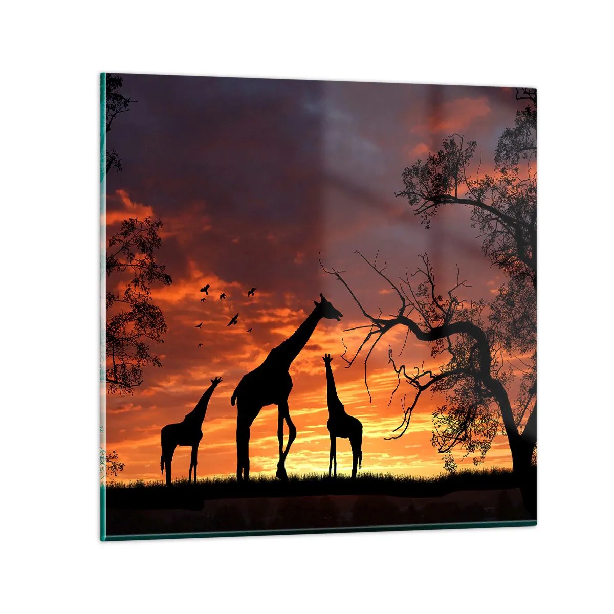 Obraz na skle - Malá večeře v kruhu nejbližších - 50x50 cm