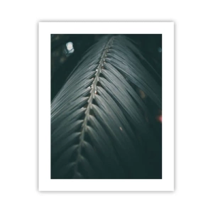 Plakát - Přesnost přírody - 40x50 cm