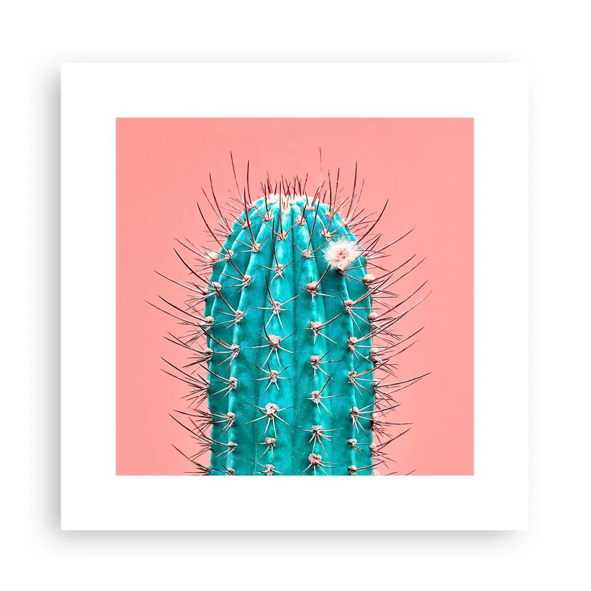 Plakát - Jen koukej - 30x30 cm