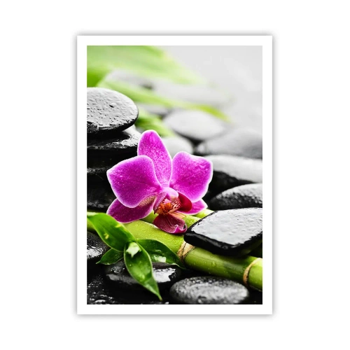 Plakát - V klidné rovnováze - 70x100 cm