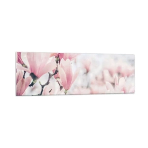 Obraz na skle - Ideál jemnosti - 160x50 cm