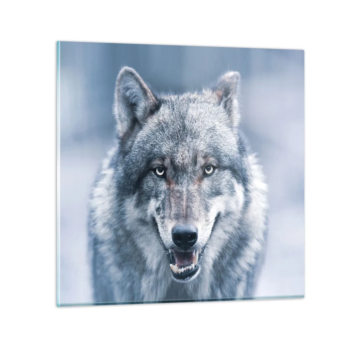 Obraz na skle - Přijmete tuto výzvu? - 30x30 cm