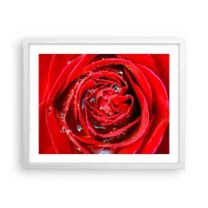 Plakát v bílém rámu - V kapkách rosy - 50x40 cm