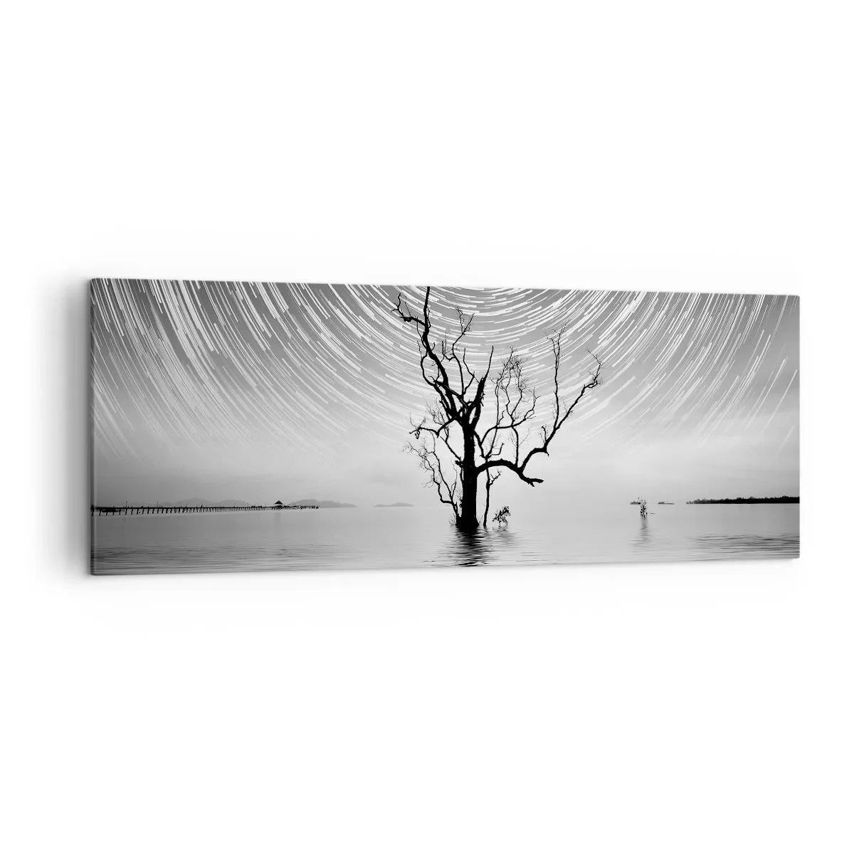 Obraz na plátně - Symfonie přírody - 140x50 cm