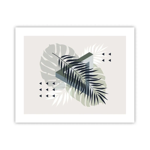 Plakát - Příroda a geometrie – dva řády? - 50x40 cm