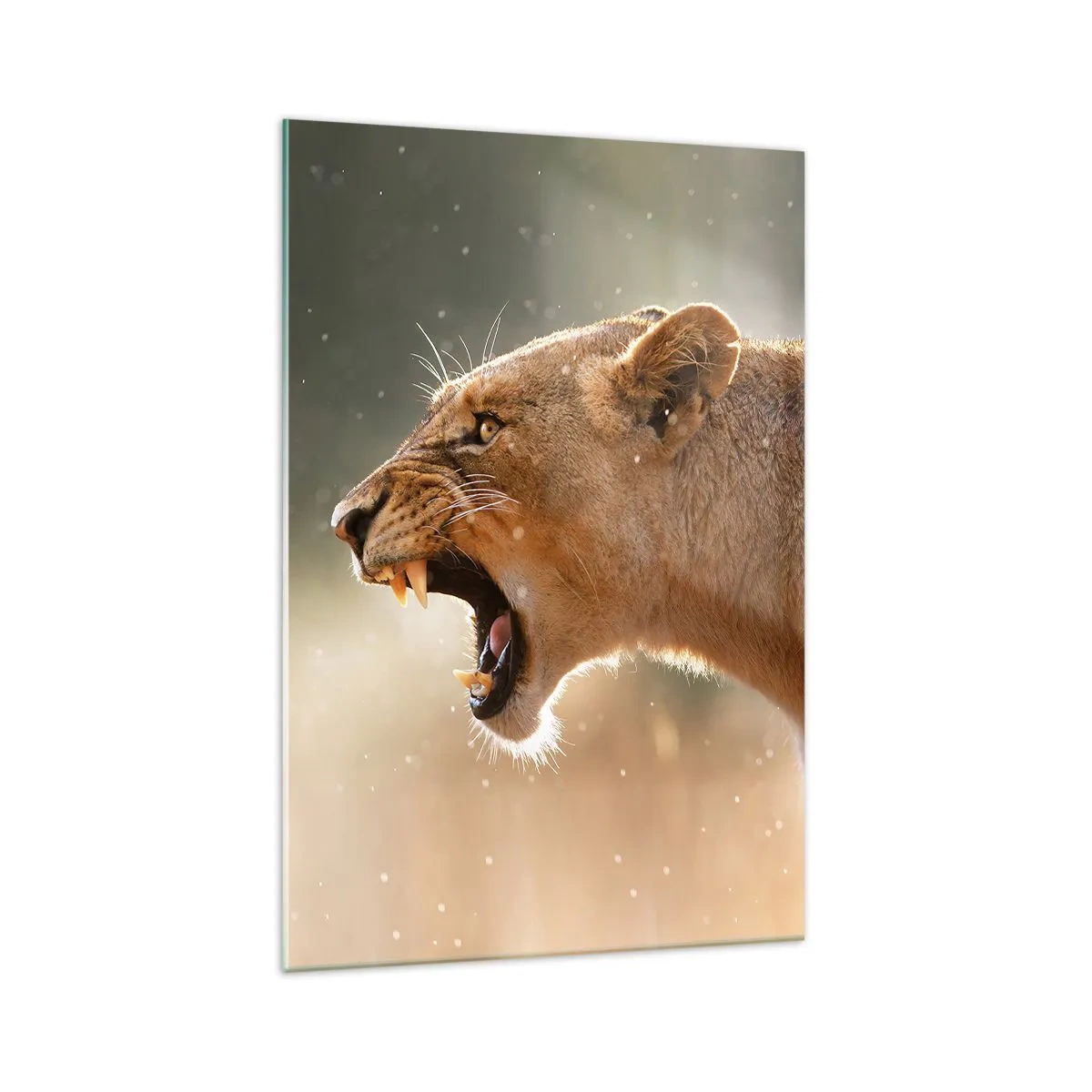 Obraz na skle - Snaž se neposlouchat - 70x100 cm